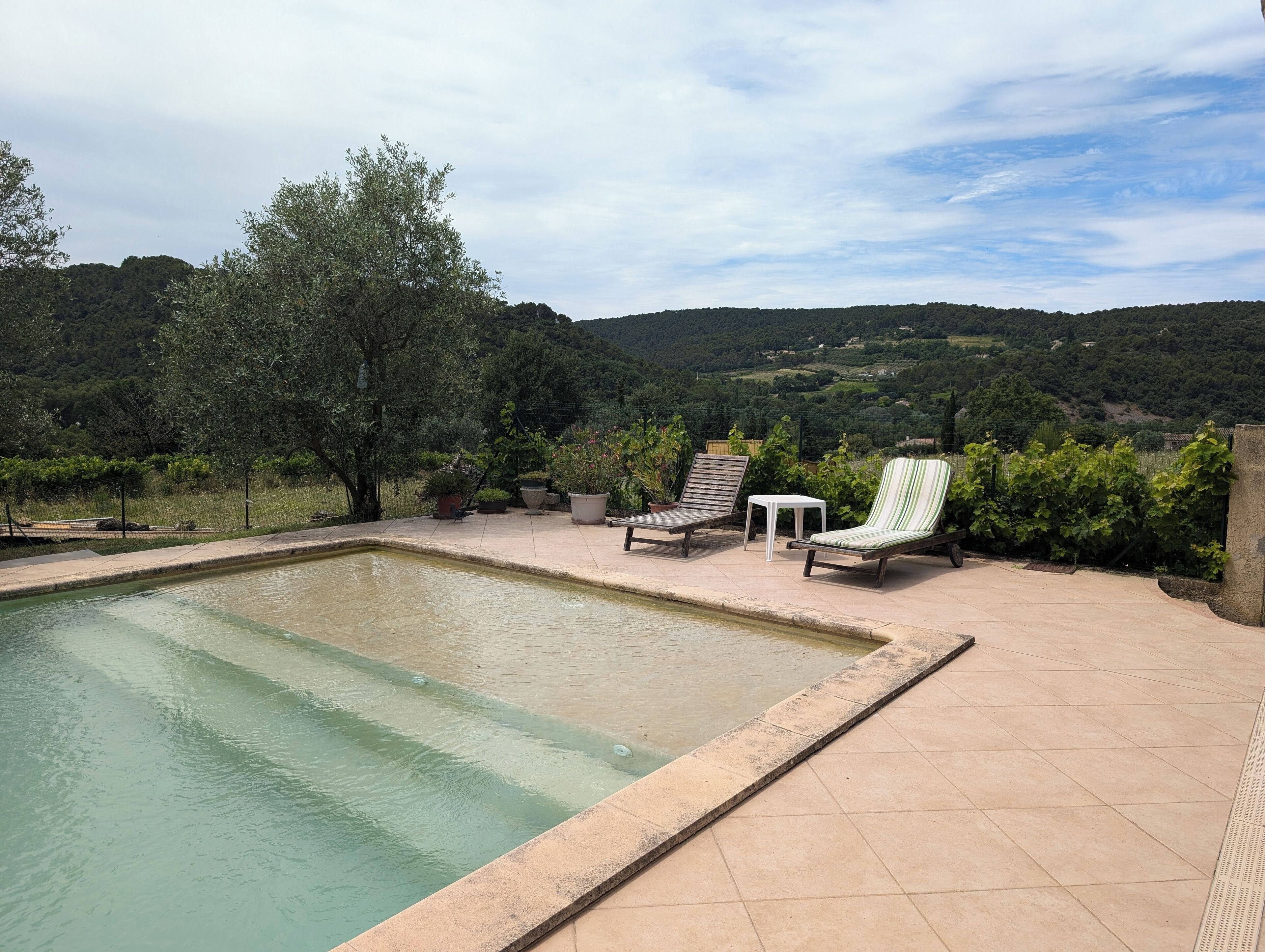 Piscina com espreguiçadeiras e plantas em vasos, cercada por um jardim bem cuidado e colinas ao fundo.