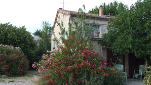 A house with a gravel driveway, surrounded by lush greenery and flowering bushes.