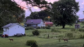 Paisagem rural com casas, um pequeno galinheiro e uma árvore.