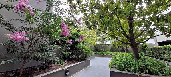 Stroll through a beautifully maintained garden with lush greenery and vibrant flowers.