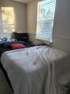 1 bedroom, internet