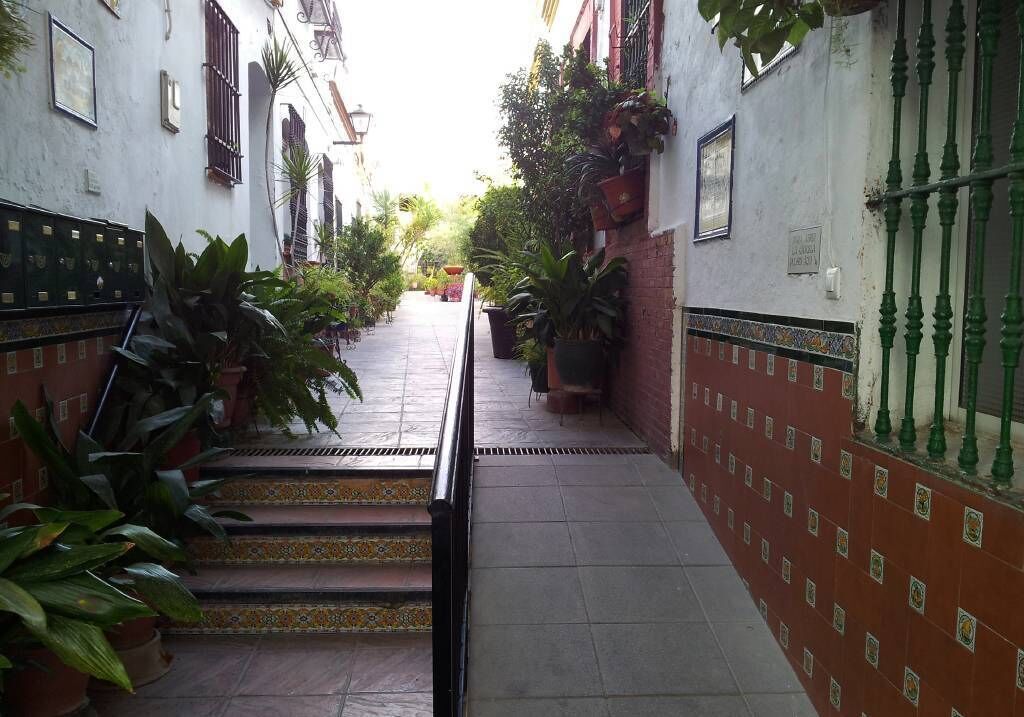 Un estrecho callejón con escalones que conducen a la entrada de un edificio, flanqueado por plantas en macetas y una pared de azulejos con diseños decorativos.
