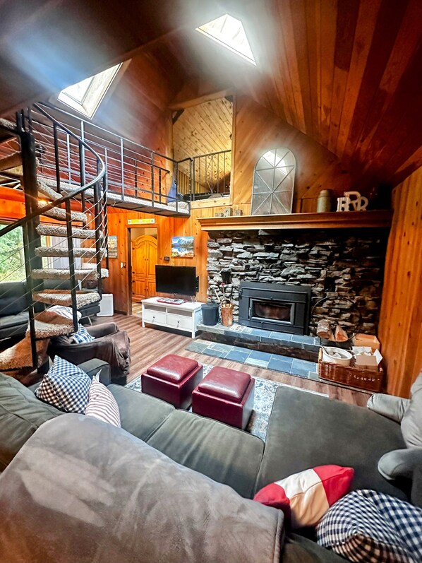 Smart TV, chimenea y reproductor de DVD