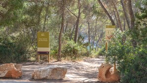 L’entrée d’un parc naturel, avec un panneau indiquant « Parc naturel de Mondragó ».