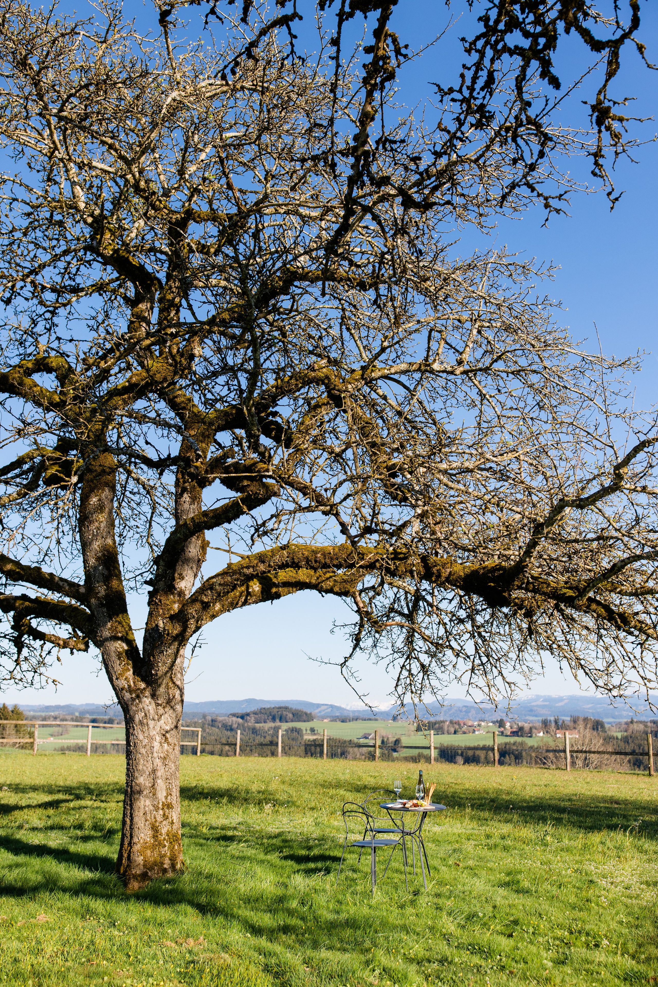 Speisen im Freien