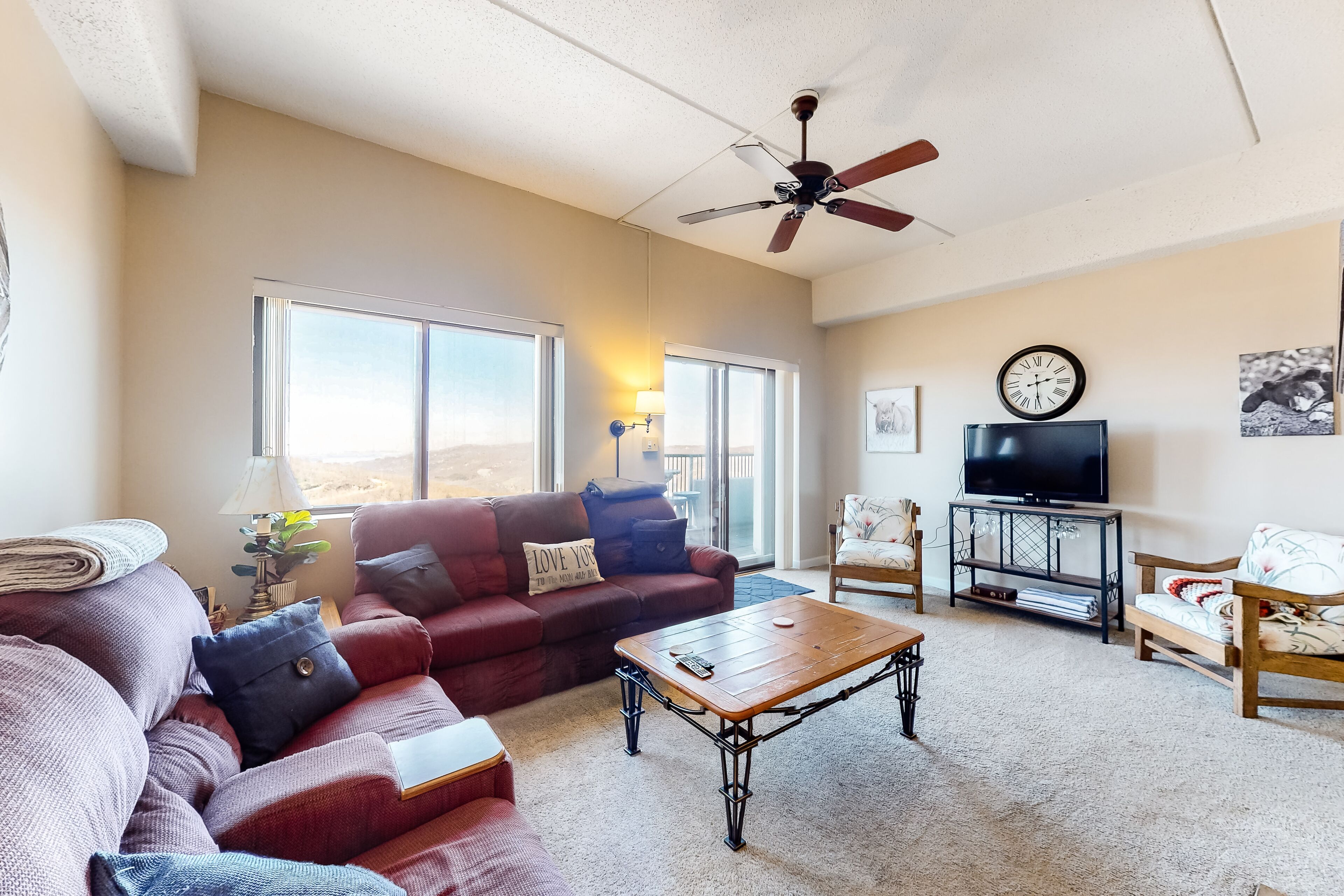 TV, fireplace, books