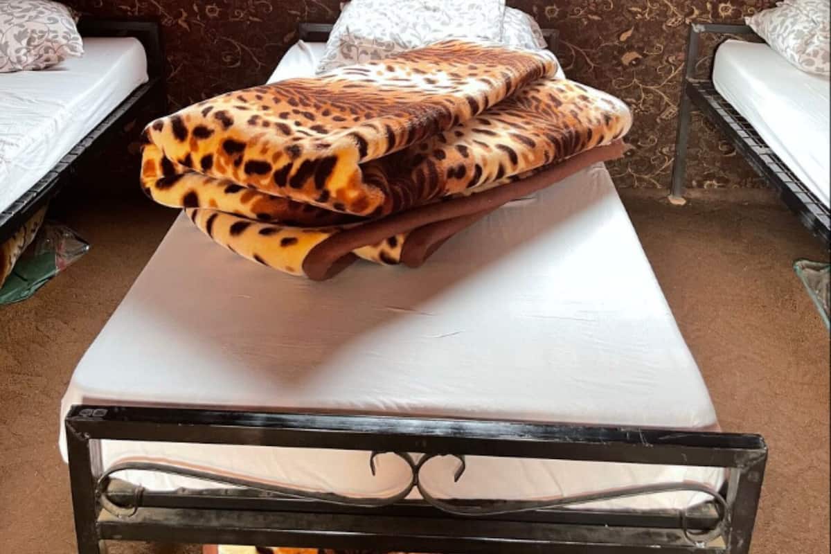A room with a patterned wall, a bed with a leopard print blanket, and a bedside table.