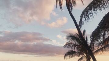 In Strandnähe, Strandtücher