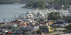 Stroll along the marina, surrounded by boats and a mix of shops and homes.