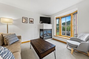 TV, fireplace, books