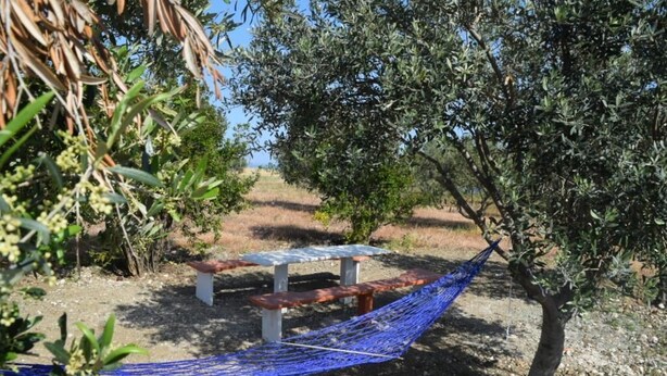 A hammock tied between two trees, a picnic table, and a bench in a natural setting. - *MERSINERA PARADISE GARDEN STARS HOUSE* (Kivisili)