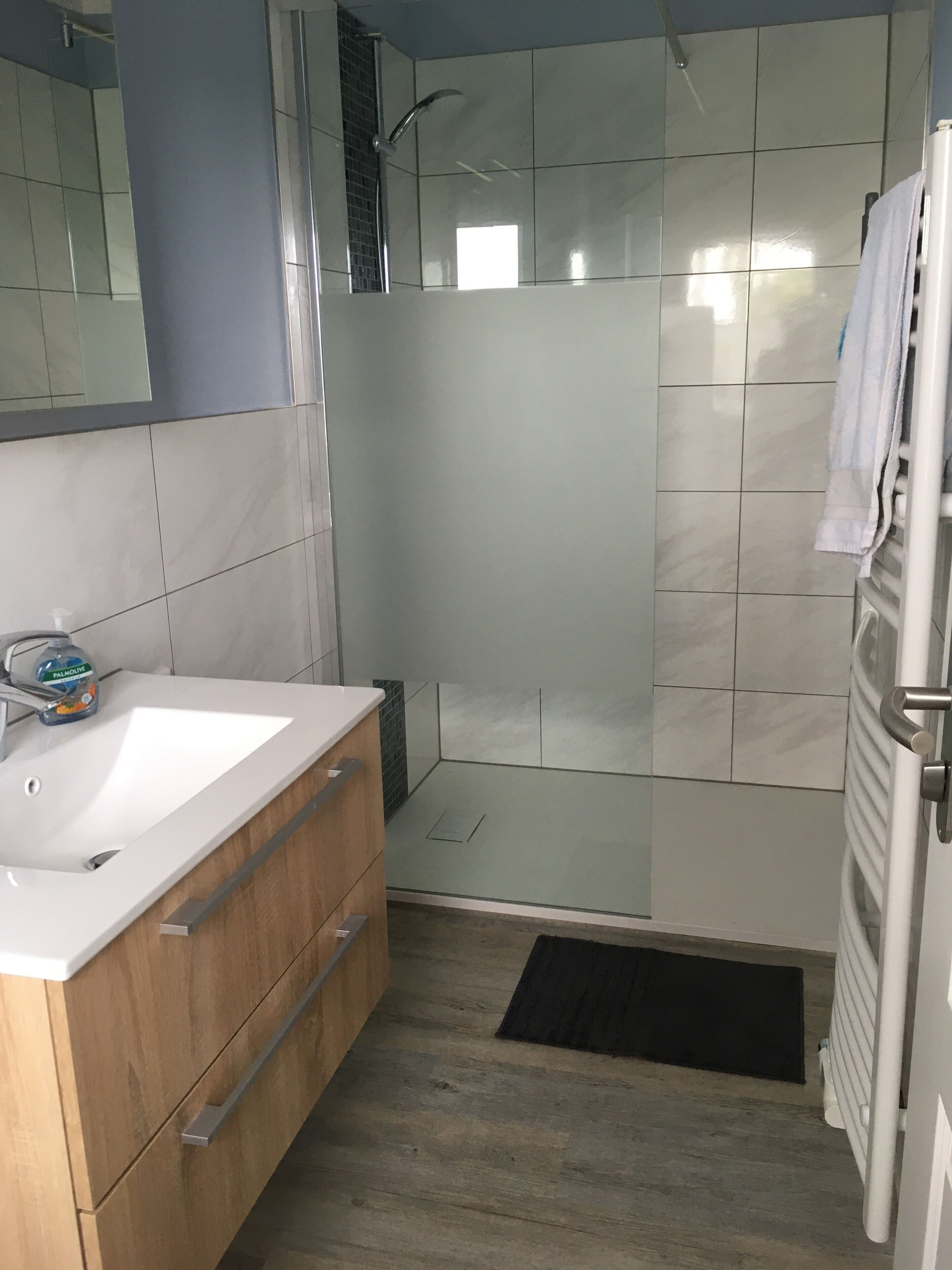Douche, sèche-cheveux, serviettes fournies, papier toilette