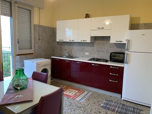 Fridge, microwave, stovetop, electric kettle