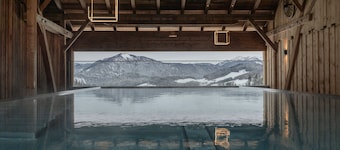 Stylish chalet with private sauna, terrace and outdoor shower