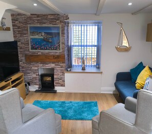 TV connectée, cheminée, lecteur de DVD, livres