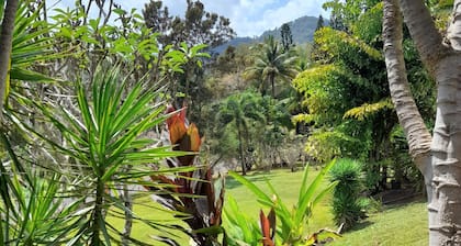 2 B'rm Cool Retreat 90m above Sea Level, & views, in Quiet Area close to Cairns