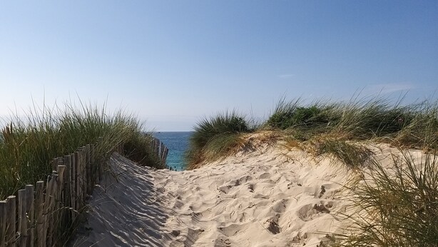 Un sentier sablonneux menant à la mer, bordé d’herbe et d’une clôture en bois.