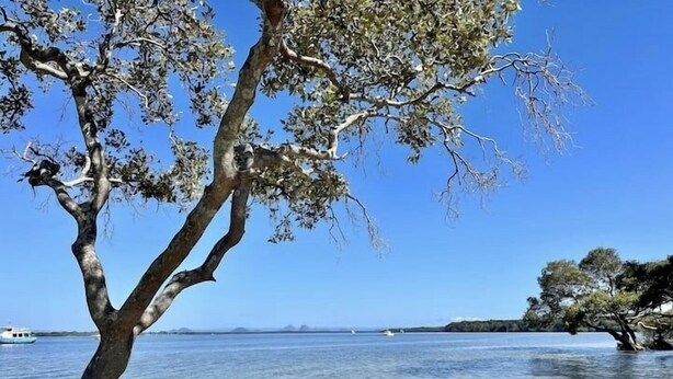 A beach with clear water, a tree, and a distant view of a boat. - Sandstone Point (SEQ) Bribie Holidays Family Home, pet friendly  (Sandstone Point)