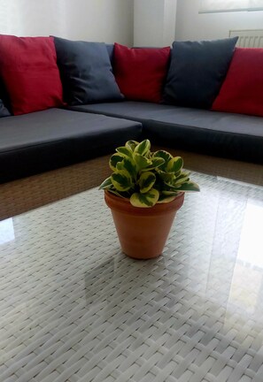 A potted plant on a woven floor mat in a room with a sofa and cushions.