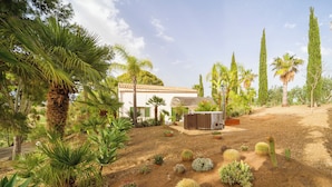 A desert garden with various cacti and palm trees, a white building with a tiled roof, and a wooden deck.
