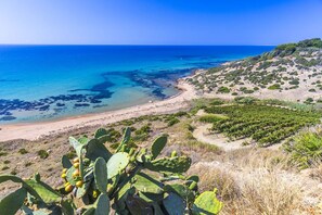 Paisaje costero con playa, cactus y una vista despejada del mar.