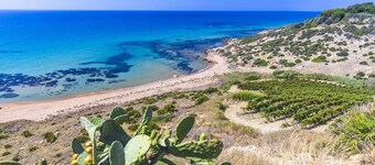 Casa Panoramica tra mare e natura