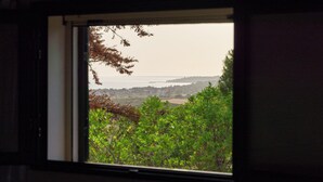 A window with a view of a coastal landscape, including trees and a distant shoreline.