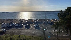 Un parking avec plusieurs voitures et un arbre au premier plan.