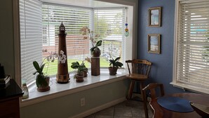 A bay window with multiple potted plants, a wooden chair, and a dining table. - Relaxing Coastal Treasure on the canal (Corpus Christi)
