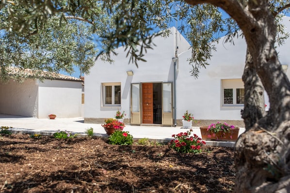 A white building with a brown door, windows, and a small garden with potted plants.