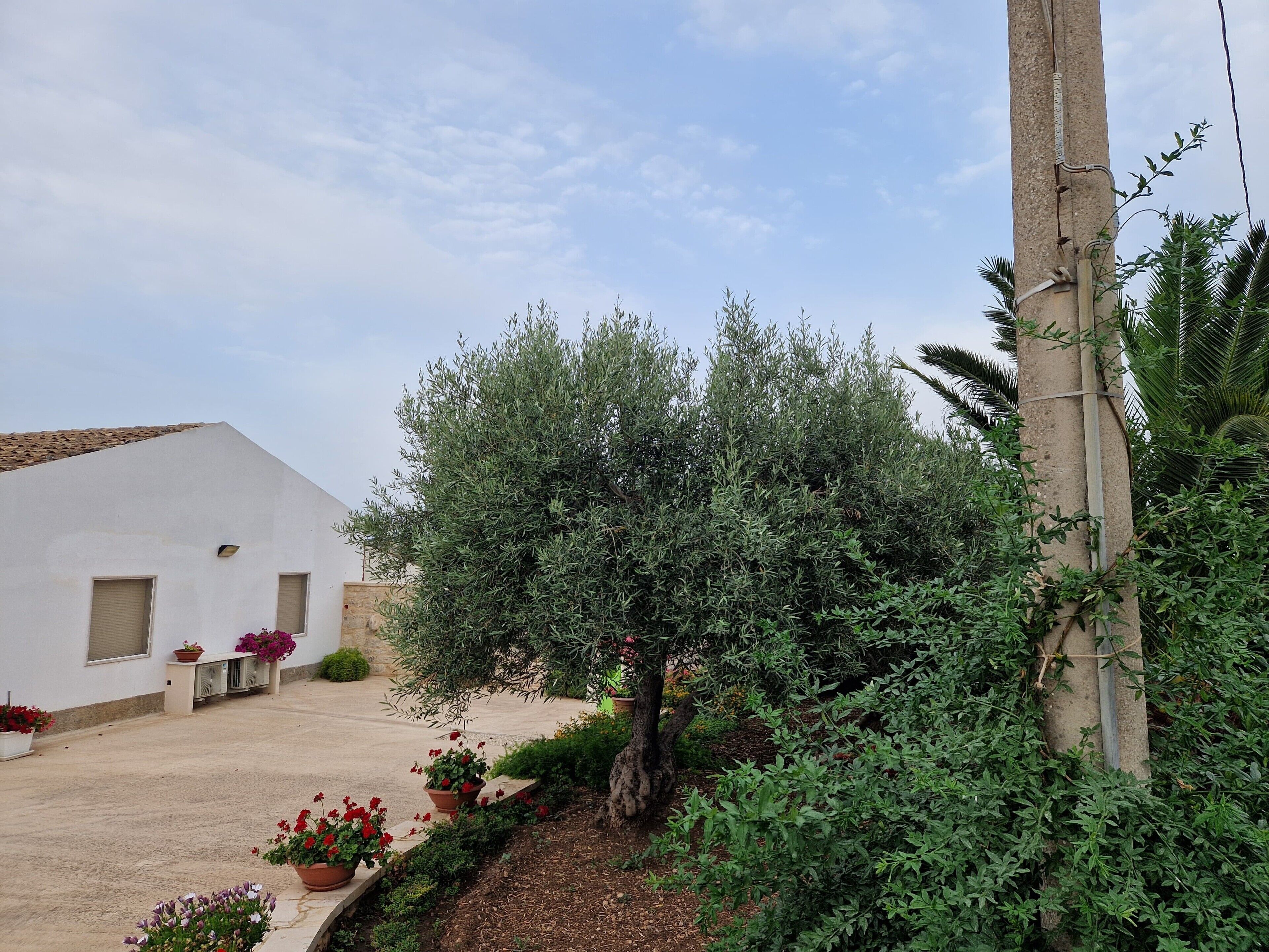 Un bâtiment blanc doté d’un toit en pente, entouré d’un jardin où poussent différentes plantes et fleurs.
