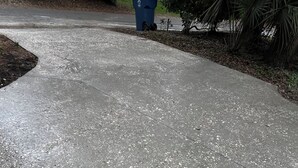 Un camino de concreto con conchas marinas dispersas.
