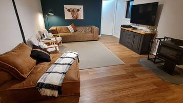 Smart TV, fireplace, video games, books