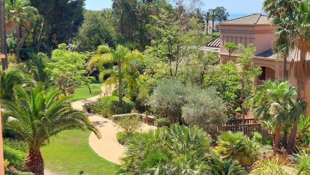 Un jardin luxuriant, avec des palmiers, un sentier sinueux et un bâtiment doté d’un toit en tuiles.