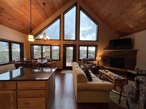 TV, fireplace