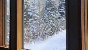 Une fenêtre donnant sur un paysage enneigé, avec des arbres couverts de neige et une montagne en arrière-plan.