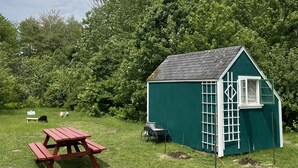 Une petite maison verte avec une fenêtre blanche et une porte, une table de pique-nique rouge et une brouette, le tout situé dans un espace verdoyant avec des arbres en arrière-plan.