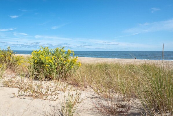 Plage à proximité