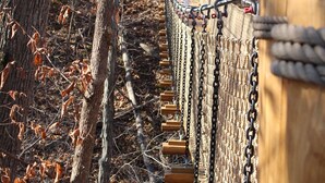 A wooden suspension bridge with chains and wooden planks, surrounded by trees and dry leaves. - 1800s Home, Train-Themed Decor, Walk to Downtown & Attractions, Exclusive Perks (Boone)