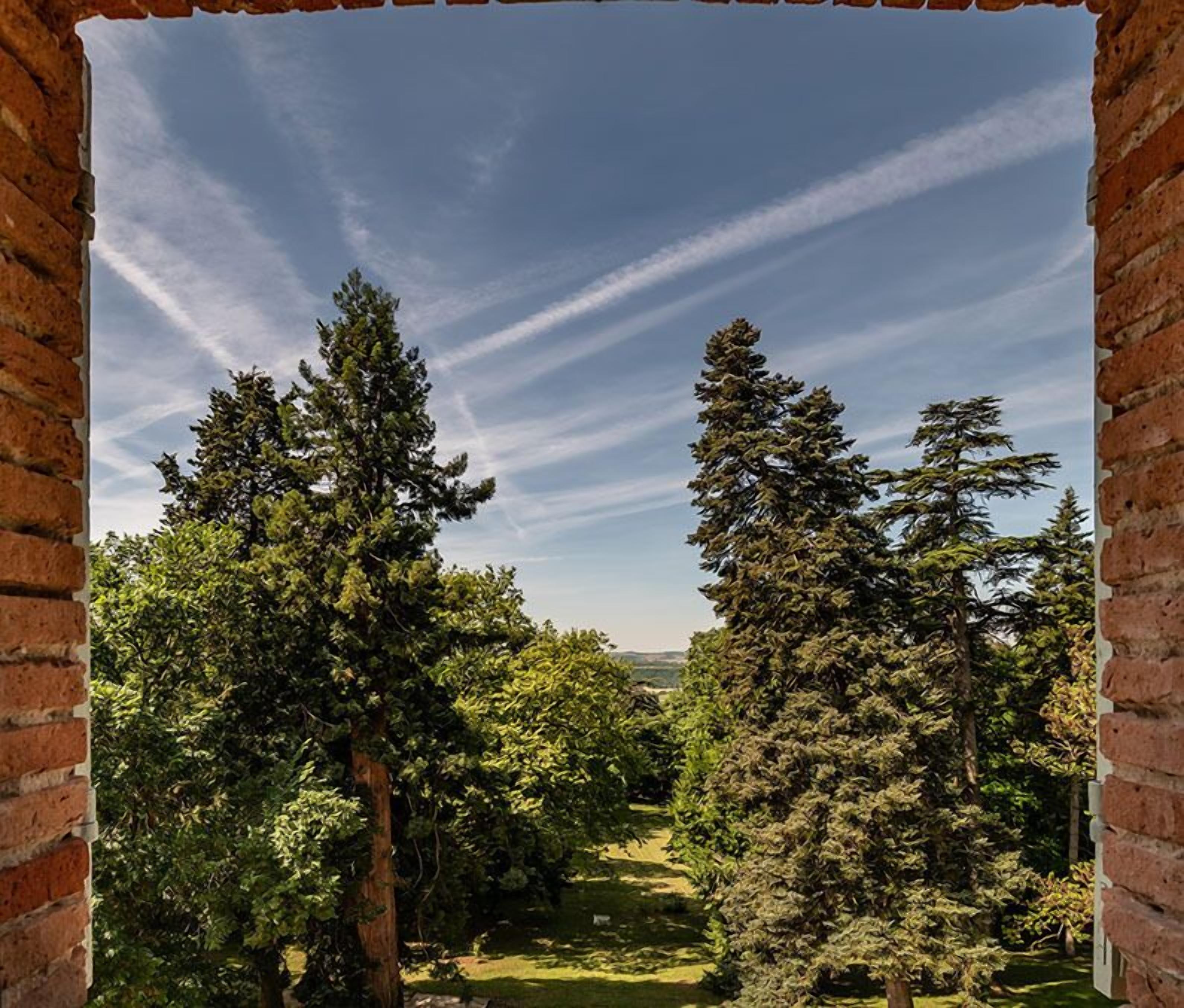 A view through a brick archway of a forested area with tall trees and a clear sky.