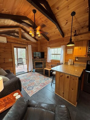 TV, fireplace, DVD player, books