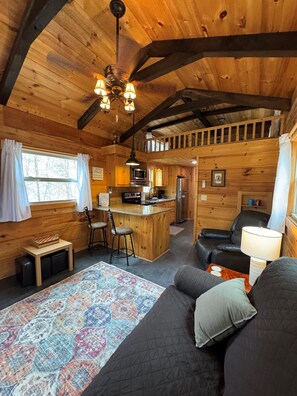 TV, fireplace, DVD player, books