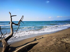 A beach with a dead tree trunk and footprints in the sand. - Villa Gelsomino, 150 meters from the sea, separate entrance, parking space, garden (Marina di Grosseto)
