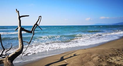 Villa Gelsomino, 150 meters from the sea, separate entrance, parking space, garden