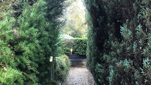 A gravel pathway flanked by dense evergreen shrubs, leading to a wooden gate.