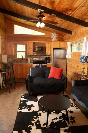 Smart TV, fireplace, books - Serenity Ridge Cabin E: Couple's Holiday (Mill Spring)
