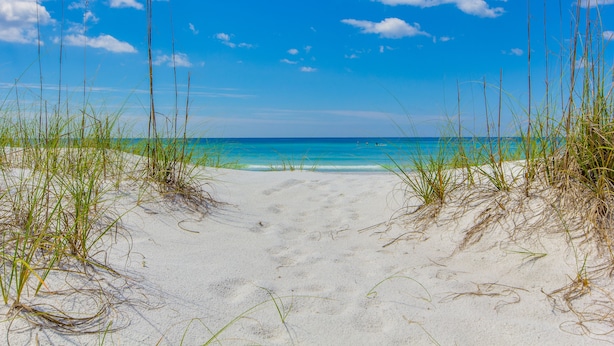 A beach path leading to the ocean with clear skies and sea. - 6 Seat Golf Cart ~ Sleeps 9 ~ Arcade Games (Santa Rosa Beach)