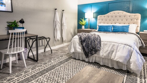 A modern bedroom with a large bed, a desk, and a chair. There is a small table with a plant and a lamp. The room has a patterned rug and a blue accent wall.
