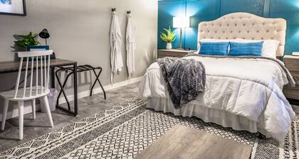 Cozy Basement Apartment| Private|Great Neighborhood