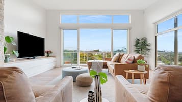 Televisión y chimenea